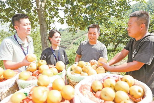 广安“三端协同”发力，让“广字号”初级农产品走向广阔市场