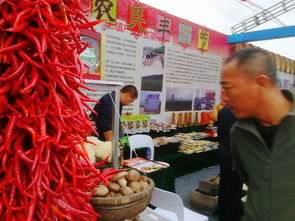 铜川2018扶贫产品交易会 初级农产品精品荟萃，看点亮眼抢先揭秘