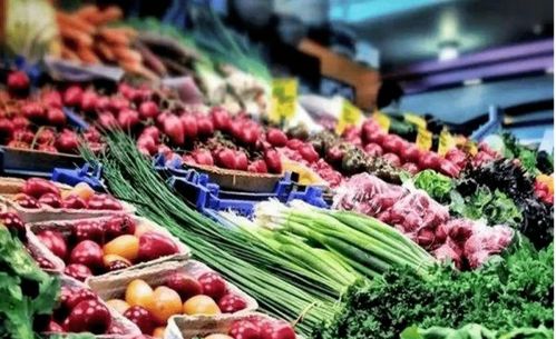 琼州海峡对岸传来利好 初级农产品发展迎来新机遇