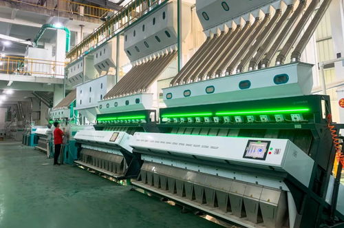 筑牢安全根基 农产品加工企业掀起初级产品绿色管理新浪潮