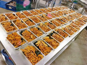 莎家邦速食食品批发 河北优质初级农产品在线咨询服务